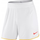 Nike Premier Roger Federer Gladiator 7" Short